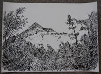 /album/kresba/dsc-0786-jpg/