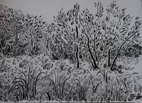 /album/kresba/dsc-0791-jpg/